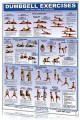 Dumbbell Exercises - Lower Body/Core/Chest and Back