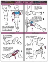 Children Back Exercise Poster