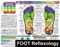 Foot Reflexology Chart