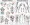 Trigger Points Anatomical Charts - 2 Charts Set