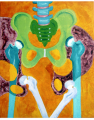 Pelvis Print