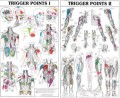 Trigger Points Anatomical Charts - 2 Charts Set