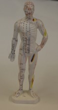 Human Body Acupuncture Model, Small Size