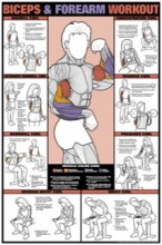 Biceps Exercise Poster