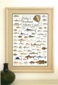 Fishes of the Southeast Atlantic Coast Poster