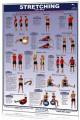 Stretching - Upper Body