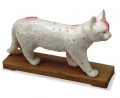 Cat Acupuncture Model