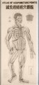 Acupuncture Points Atlas Poster