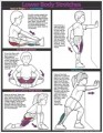 Children Lower Body Stretches Poster