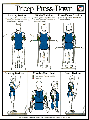 Triceps Press Down Exercise Poster