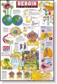 Harmful Effects of Heroin Poster
