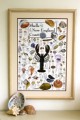 Shells of the New England Coast Poster