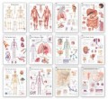 Complete Body System Chart Set
