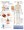 Osteoarthritis Poster
