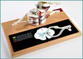 Deluxe Spinal Cord Anatomical Model