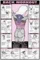 Back Exercise Poster