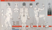 Acupuncture Points and Meridians Chart