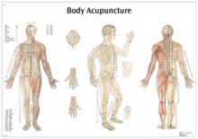 Acupuncture Poster