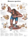 Blessures sportives Poster
