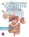 Digestive System Flip Chart