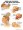 Whiplash Injuries of the Head and Neck Poster