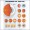 Disorders of the Eye 2nd Edition Anatomical Chart