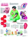 Hypertension Anatomical Poster