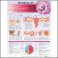 Infertility Anatomical Chart - 2nd Edition