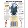 Healthy Weight Poster (Manteniendo un peso saludable)