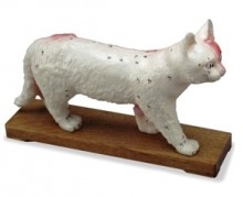 Cat Acupuncture Model