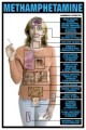 Methamphetamine Poster