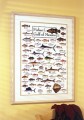 Fishes of the Gulf of Mexico Poster