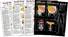 Complete Sex Education Poster Series