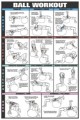 Swiss Ball Workout Exercise Poster
