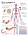 PAD Poster