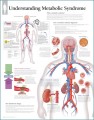 Metabolic Syndrome Poster