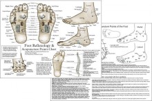 Foot Reflexology and Acupuncture Chart