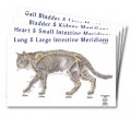 Feline Meridian Chart Set
